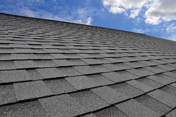 Best Roof Coating Services  in Austin, MN